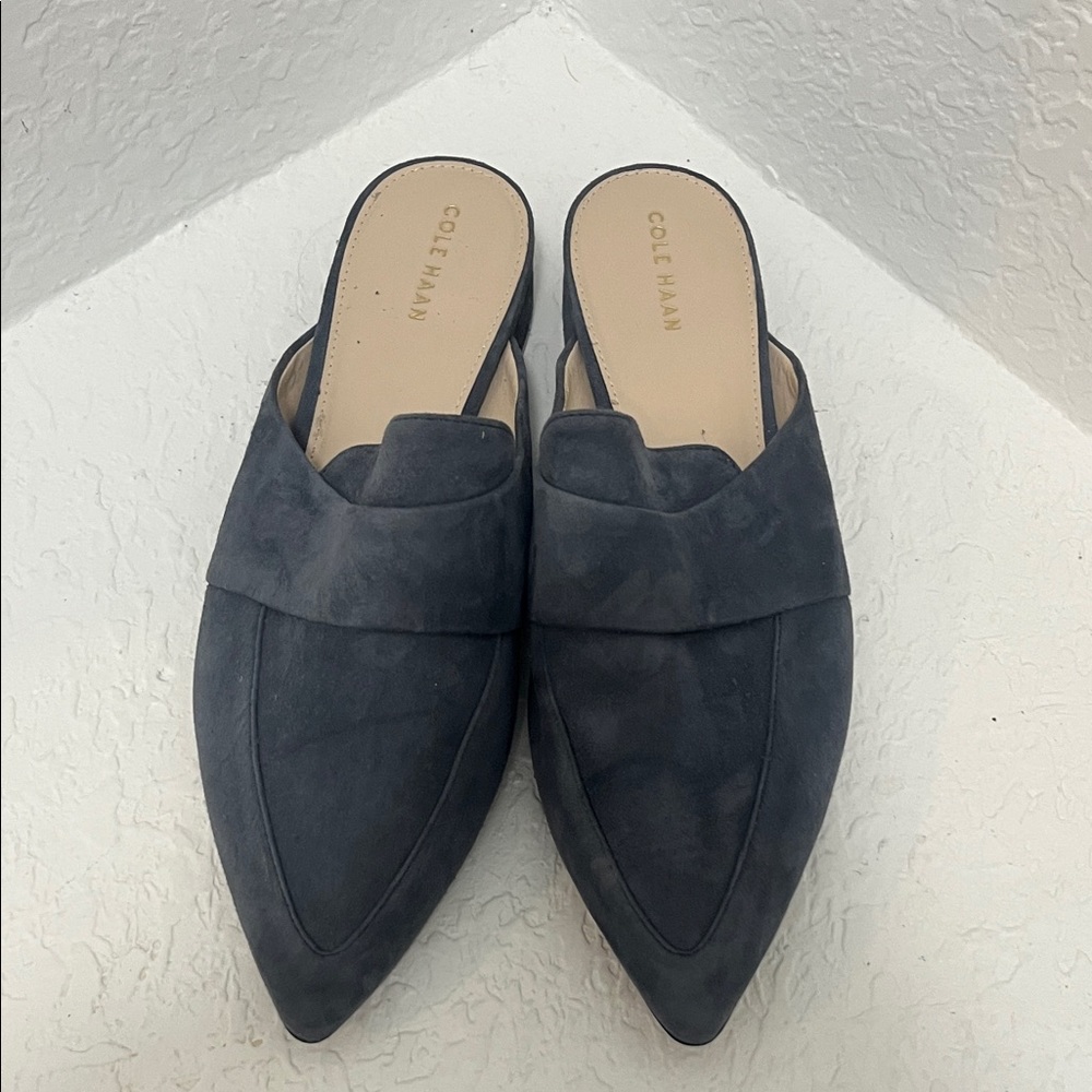 Cole Haan Women'sBlue Suede Mules